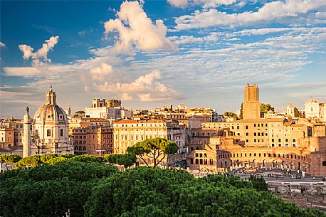 Beautiful point of view in Rome. You can see the traian markets on the right and the traian column on the left. In the foreground you can also see the maritime pines, which are typical of Rome's urban cityscape. Beautiful point of view in Rome. You can see the traian markets on the right and the traian column on the left. In the foreground you can also see the maritime pines, which are typical of Rome's urban cityscape.