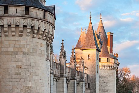 The chateau de Dissay is a french castle located in the Vienne Department. Its shapes reflect the architecture of the early French Renaissance.