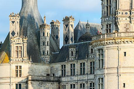 The Chateau de Chambord is the greatest of the castles in the Loire Valley. It is one of the most important castles in the french Renaissance too, as it is supposed to have been designed by Leonardo da Vinci. It is famous its double helical ramp. It is surrounded by a great natural area too. The Chateau de Chambord is the greatest of the castles in the Loire Valley. It is one of the most important castles in the french Renaissance too, as it is supposed to have been designed by Leonardo da Vinci. It is famous its double helical ramp. It is surrounded by a great natural area too.