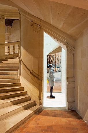 The Chateau de Chambord is the greatest of the castles in the Loire Valley. It is one of the most important castles in the french Renaissance too, as it is supposed to have been designed by Leonardo da Vinci. It is famous its double helical ramp. It is surrounded by a great natural area too. 