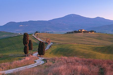 Typical view of Val d'Orcia valley in Tuscany at twilight, with farm and cypresses, Pienza, Italy, Europe