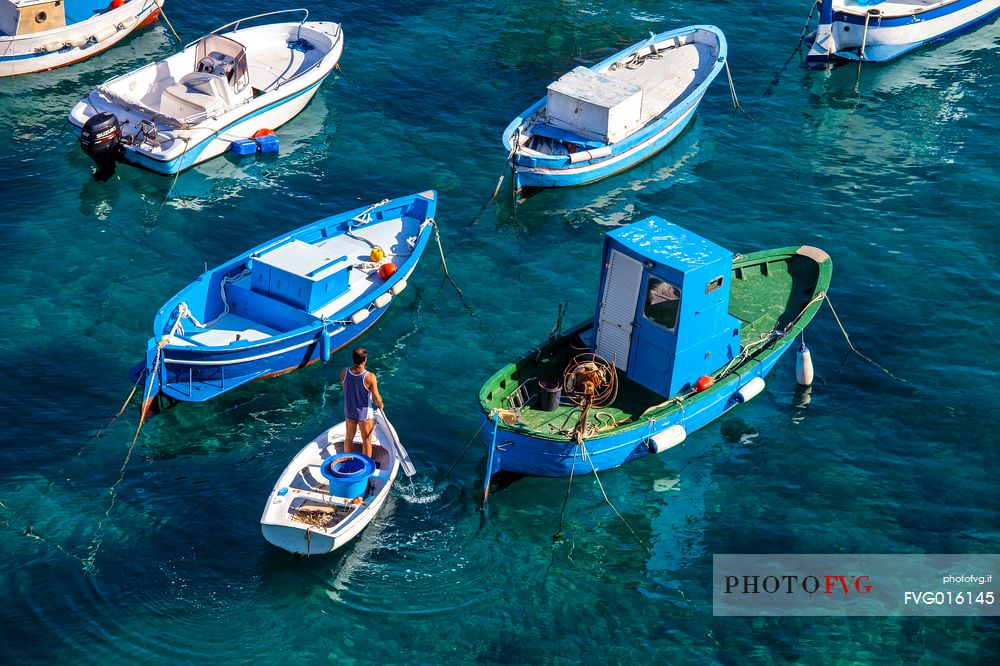 Colored boats in a little harbour of Ponza Island