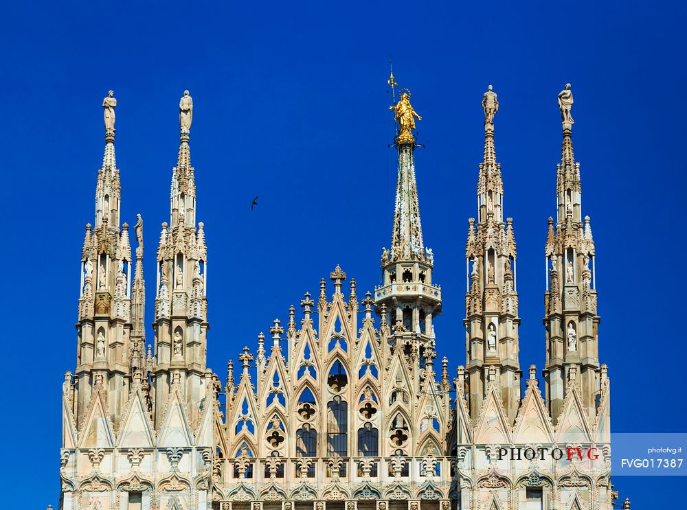 The Cathedral in Milan