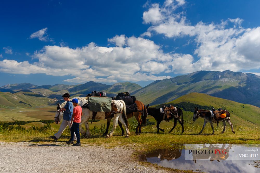Horse riding on the mountains of Monti Sibillini national park. In the background Castelluccio di Norcia and Monte Vettore. Umbria, Italy, Europe.