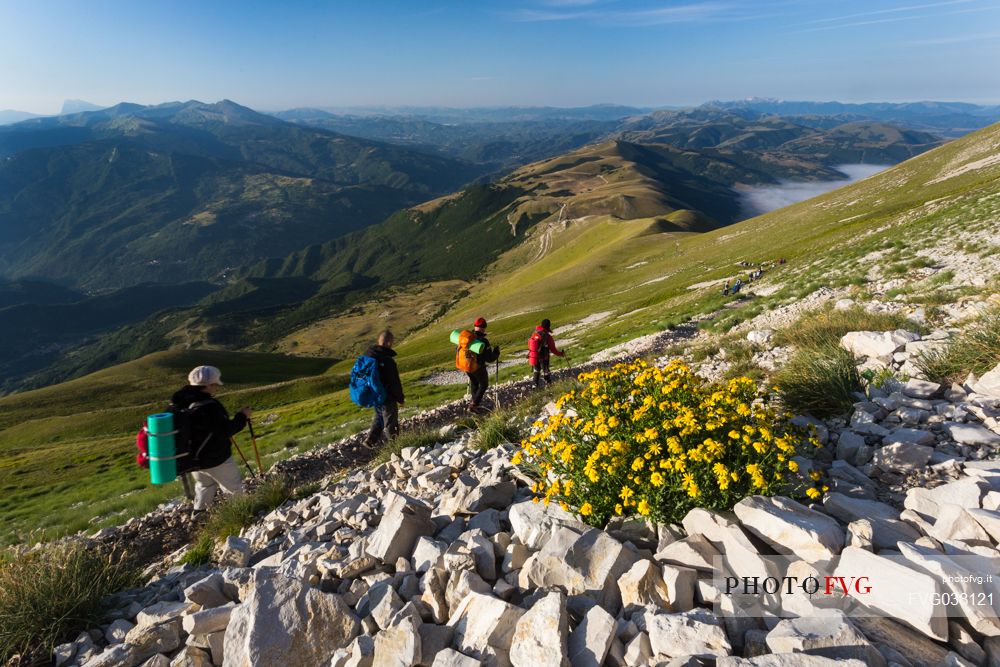 Hikers coming down from Mount Vettore in the Monti Sibillini national park mountains, Castelluccio di Norcia, Umbria, Italy, Europe.