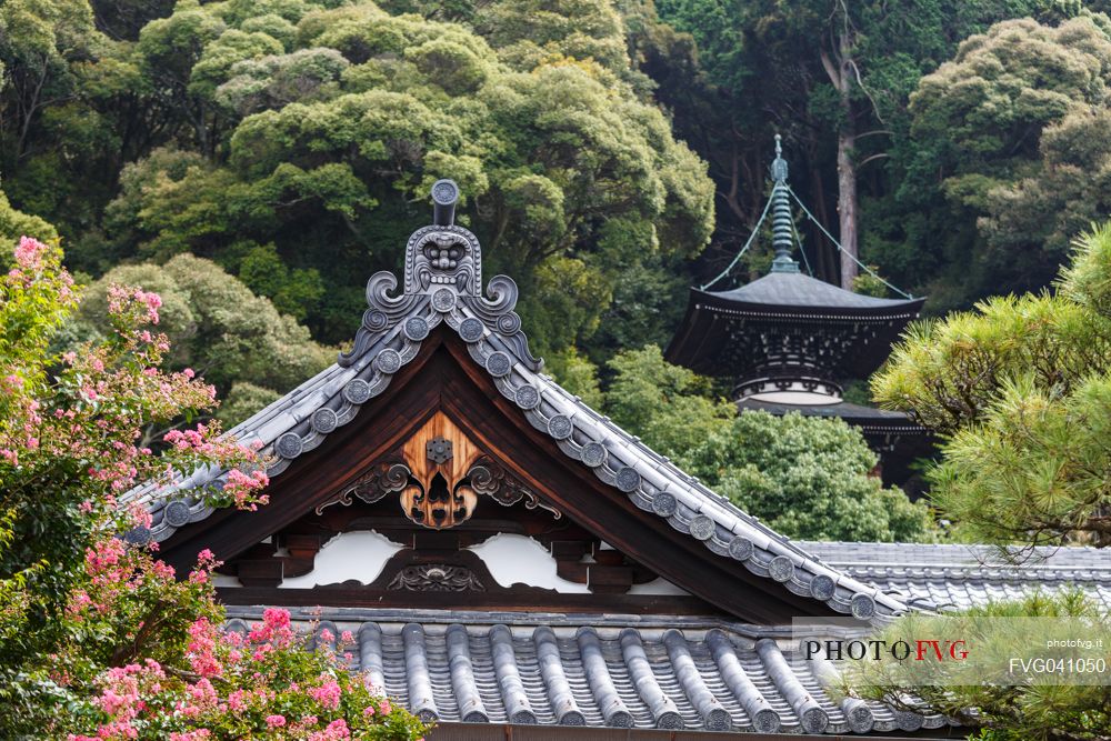 Eikando Zenrinji is a temple famous for the Buddha to which it is dedicated, and is the main temple of Jodoshu Buddhism. It was built in 853 by Shinsho, Kyoto, Japan