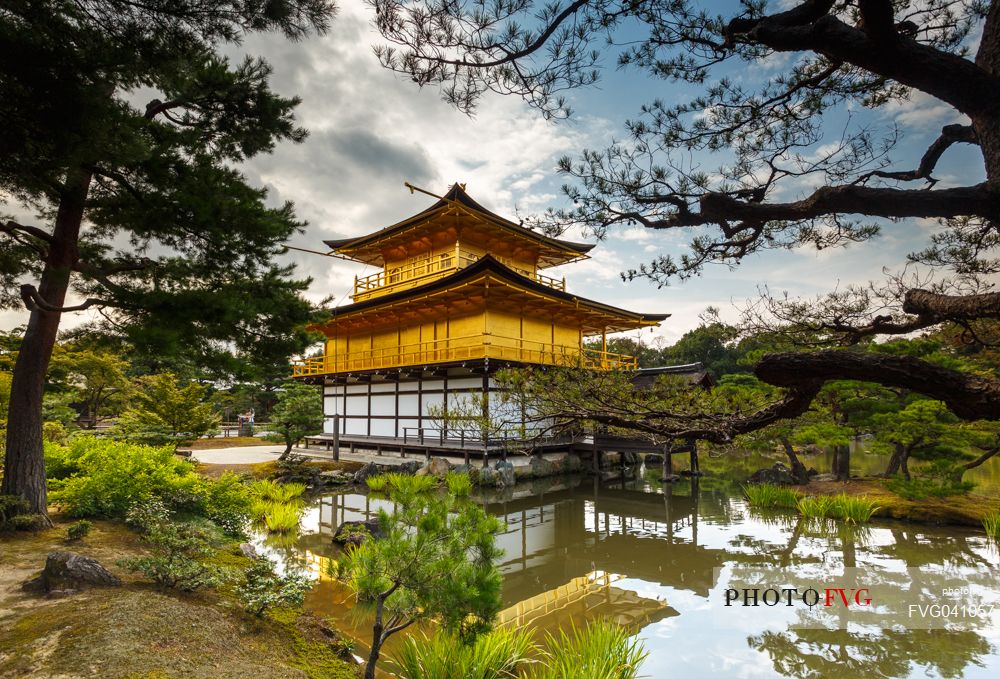 Kinkaku-ji or golden pavilion temple is Japan's most famous leading temples, World Cultural Heritage featuring a shining golden pavillion reflected in a lake, Kyoto, Japan