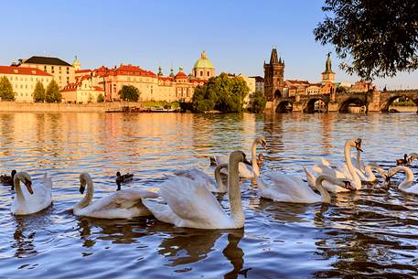 Prague, view across Vltava River and Charles Bridge at sunset
