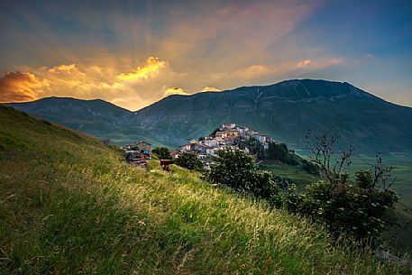 Castelluccio di Norcia and the Monte Vettore in the background at dawn. Monti Sibillini national park, Umbria, Italy, Europe.