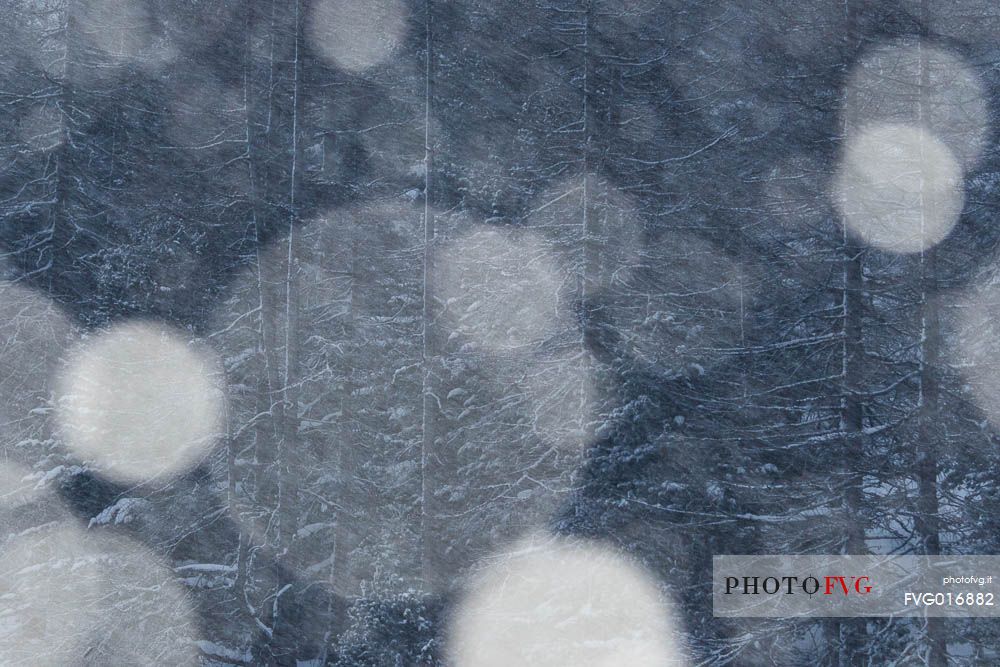 Snoflakes at bluehour on the bernina pass