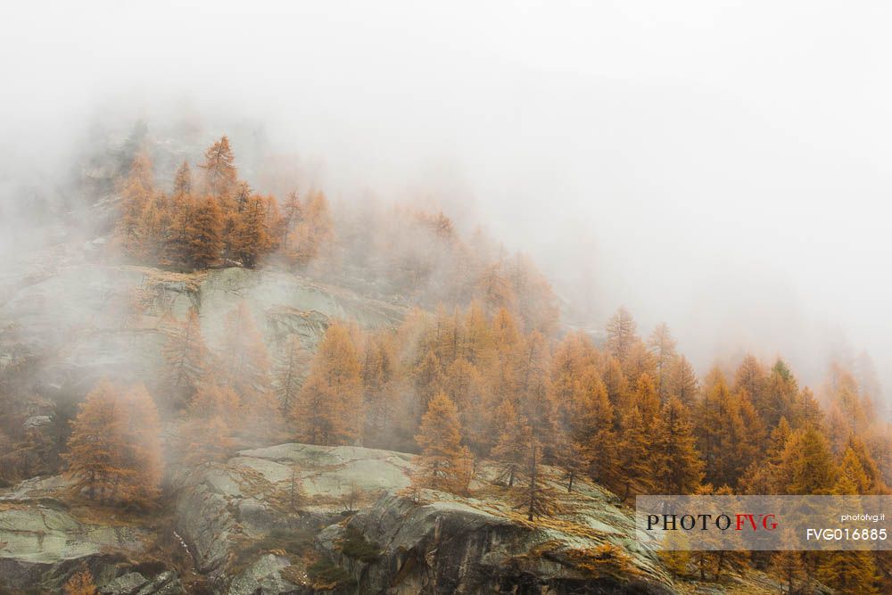 Autumn atmosphere in gran paradiso national park