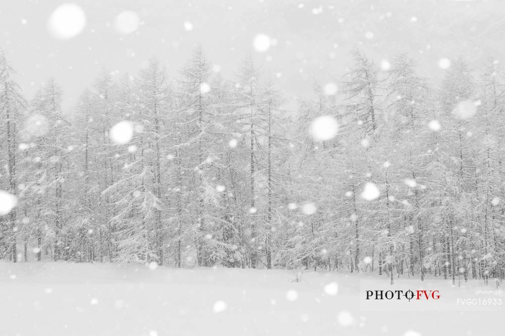 The peace and silence we can find in a snowy day in the Alps