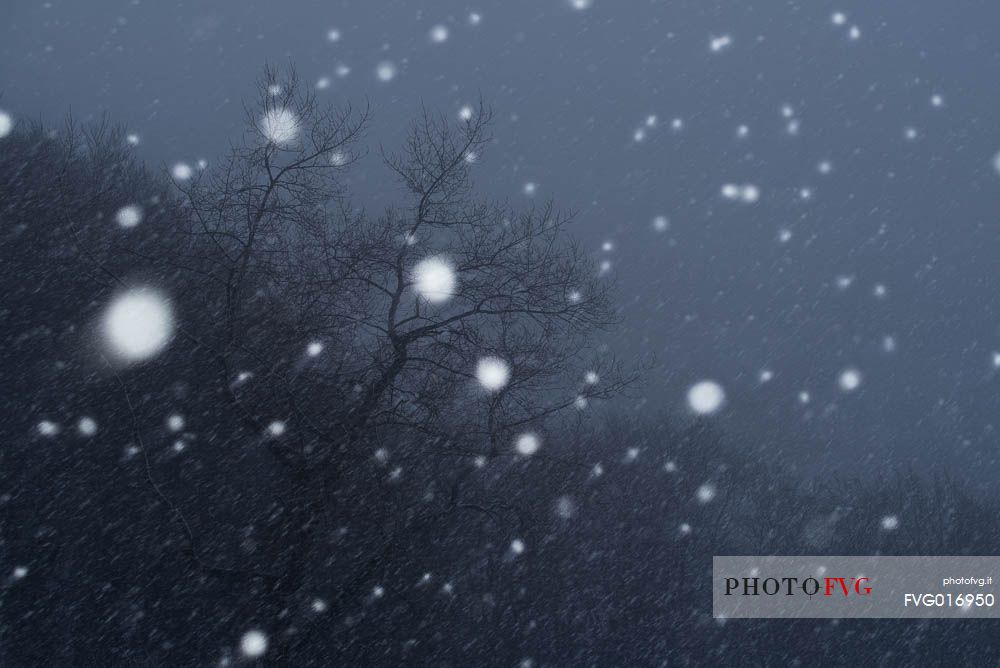 The first snow of the year before sunrise