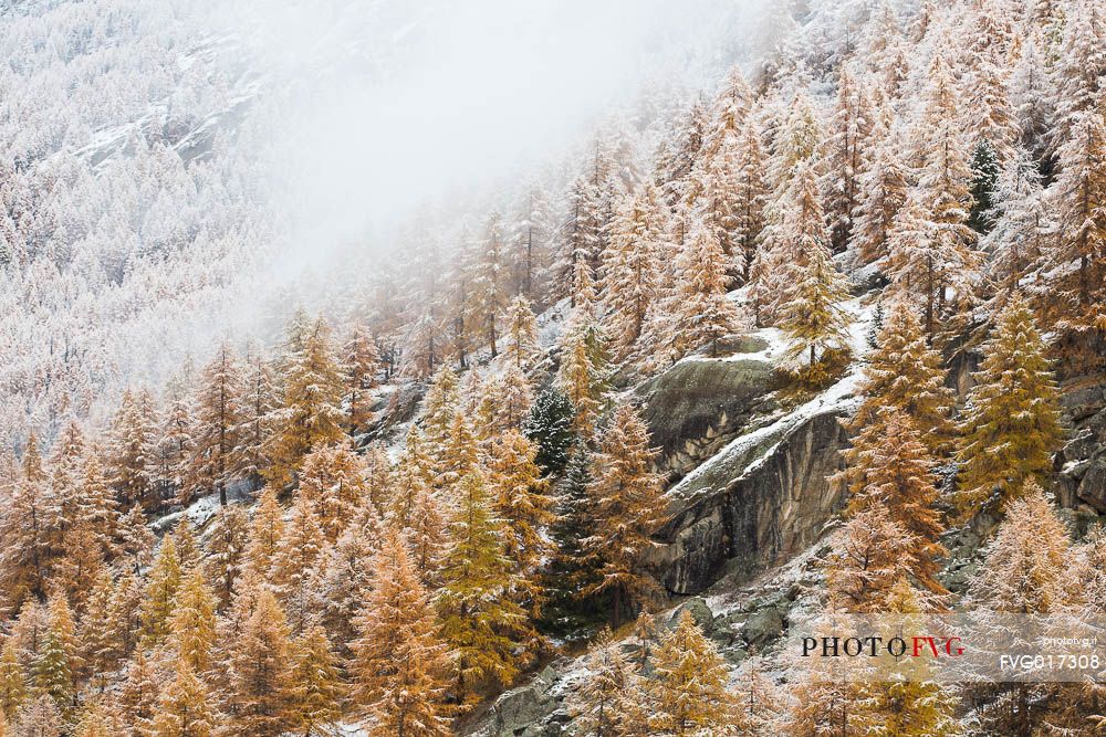 Autumn atmosphere in gran paradiso national park