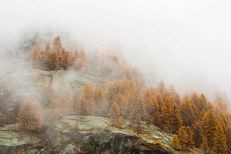 Autumn atmosphere in gran paradiso national park