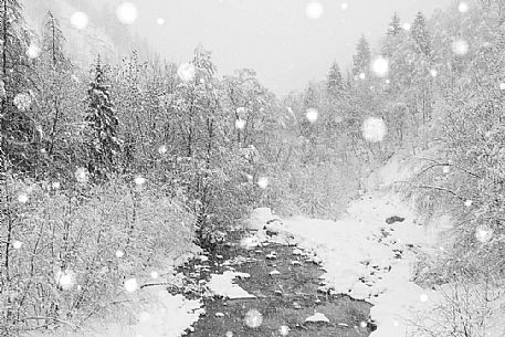 A snowy stream of valsavarenche in gran paradiso national park