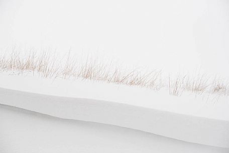 Snow composition