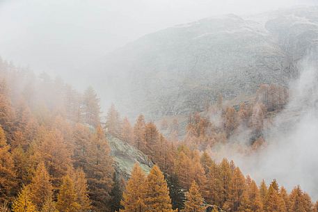 Autumn atmosphere in gran paradiso national park