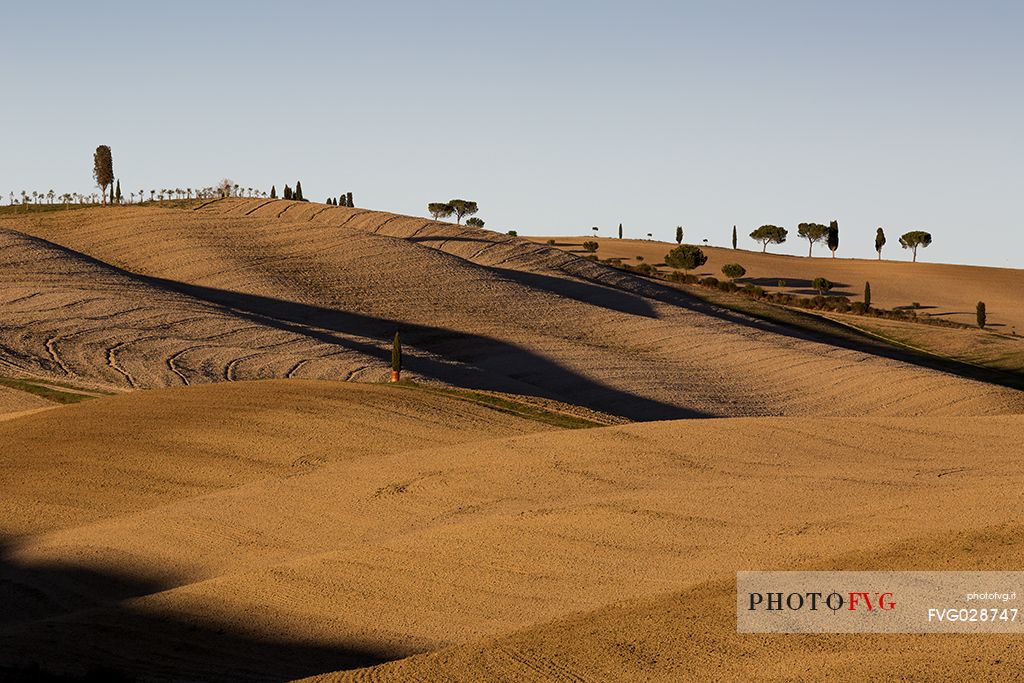 The Val dOrcia has  one of the distinctive landscape in the large Region of Tuscany with  a  magnificent natural scenery  and gently-rolling hills covered in the dense vegetation of cypresses, Tuscany, Italy