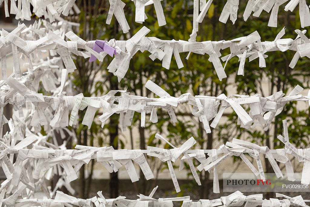 O-mikuji are random fortunes written on strips paper to know own fate at Shinto shrines and Buddhist temple, Fushimi Inari Taisha Shinto Temple, Kyoto, Japan