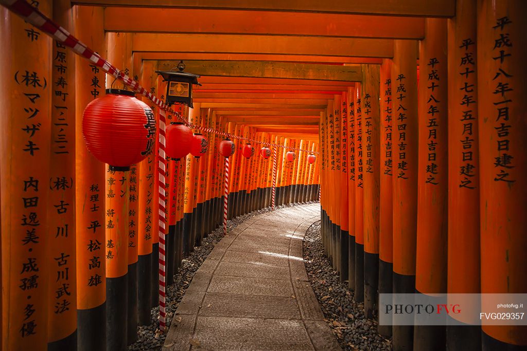 Fushimi Inari Taisha Temple is an important Shinto shrine in southern  Kyoto. It's famous for its thousands of vermillion torii gates, Kyoto, Japan