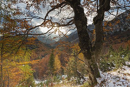 Mangart Road offers, in autumn,  picturesque views towards the Log Koritnica Valley in Slovenia