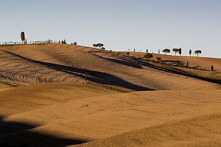 The Val dOrcia has  one of the distinctive landscape in the large Region of Tuscany with  a  magnificent natural scenery  and gently-rolling hills covered in the dense vegetation of cypresses, Tuscany, Italy