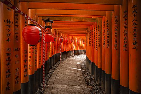 Fushimi Inari Taisha Temple is an important Shinto shrine in southern Kyoto. It's famous for its thousands of vermillion torii gates, Kyoto, Japan Fushimi Inari Taisha Temple is an important Shinto shrine in southern Kyoto. It's famous for its thousands of vermillion torii gates, Kyoto, Japan