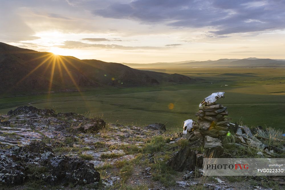 The first light of the sunrise light up 2 skulls of horses put at the top of a hill in the steppe by some nomads in sign of prayer, Mongolia

