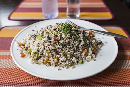 A typical mongolian meal with rice, vegetables and mutton meat.