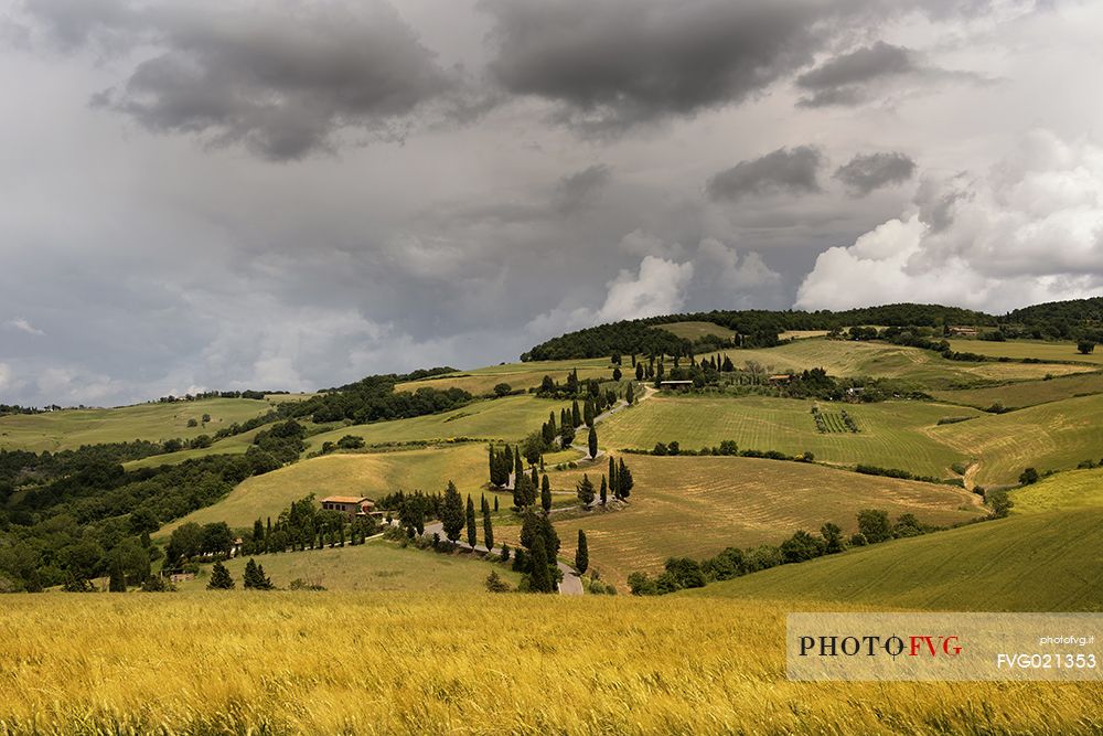 Charming road in the tuscan countryside, Orcia Valley, Tuscany, Italy