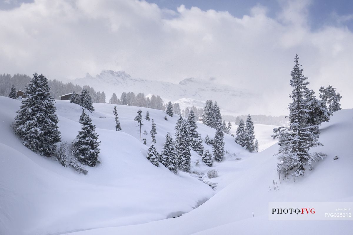 Winter landscape of Alpe di Siusi, South Tyrol, Italy