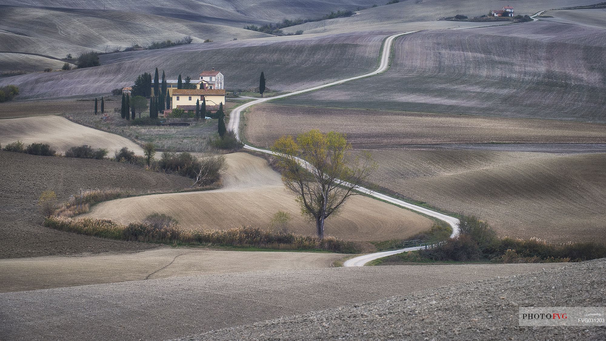 Natural harmony in val d'orcia, Tuscany, Italy