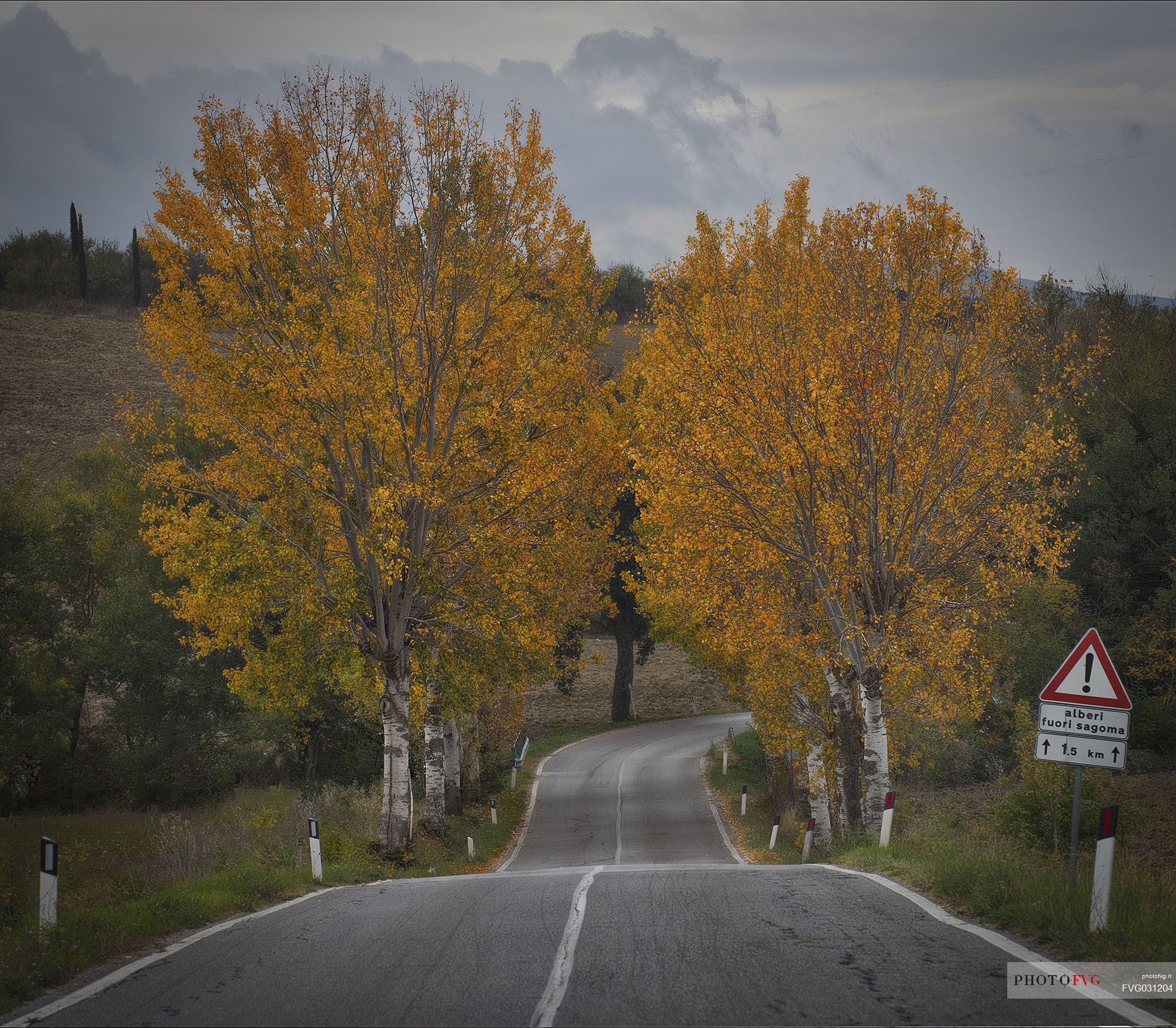 Beautiful road in autumnal mood, Val d'Orcia, Tuscany, Italy