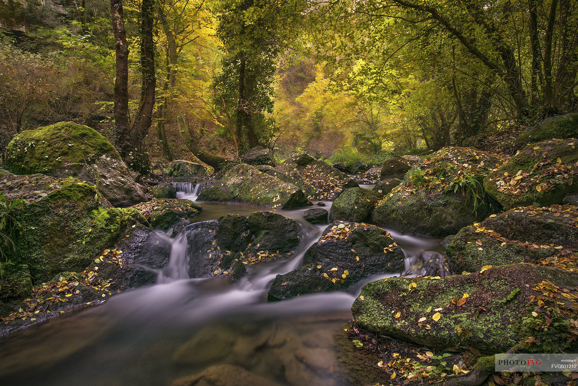 Little river the Treja Valley Regional Park, near Rome, Latium, Italy