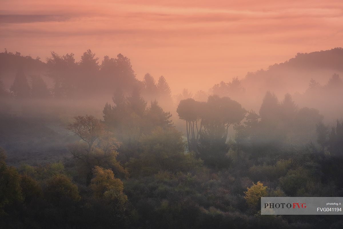 Autumn sunrise at the Roman castles park, Velletri, Latium, Italy, Europe