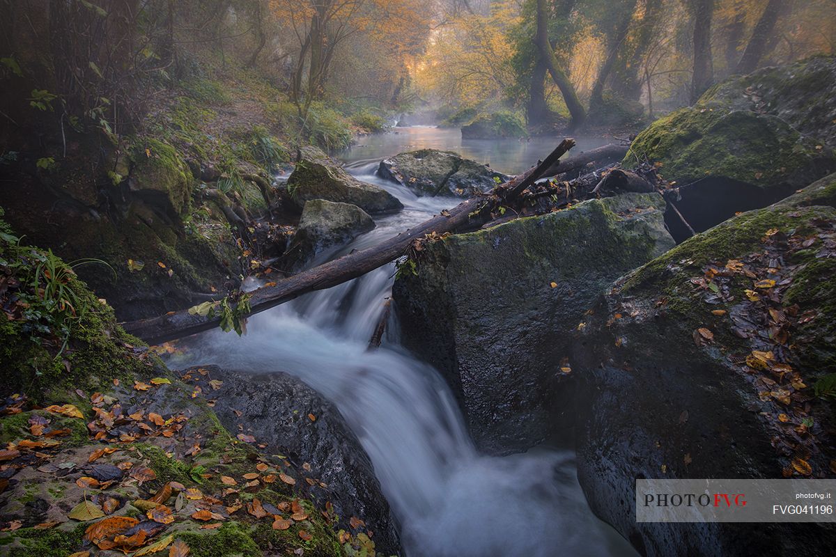 Stream in the Treja valley natural park, Mazzano, Latium, Italy, Europe