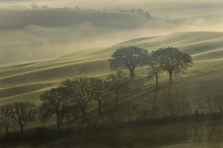 foggy morning in val d'orcia