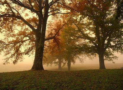 autumn mood
Italy,Lazio,castelli romani regional park