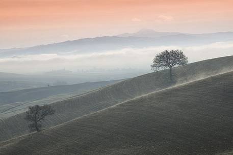 a misty morning in Val d'Orcia, Tuscany