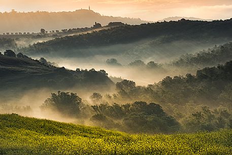 Foggy morning near Pienza, Val d'Orcia, Tuscany, Italy