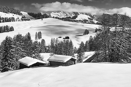 Seiseralm with snow, Gardena valley, South Tyrol, Italy