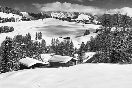 Seiseralm with snow, Gardena valley, South Tyrol, Italy