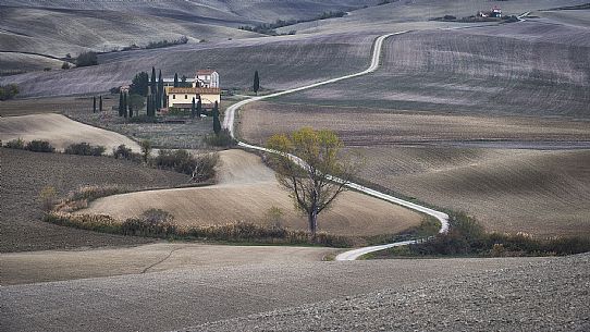 Natural harmony in val d'orcia, Tuscany, Italy