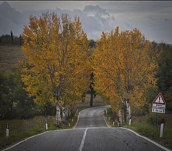 Beautiful road in autumnal mood, Val d'Orcia, Tuscany, Italy