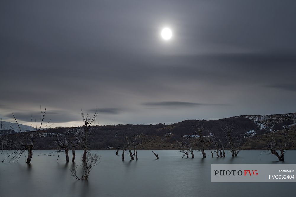 The moon illuminates the lake of Campotosto and its characteristic trees immersed in the water, Gran Sasso and monti della Laga national park, Abruzzo, Italy