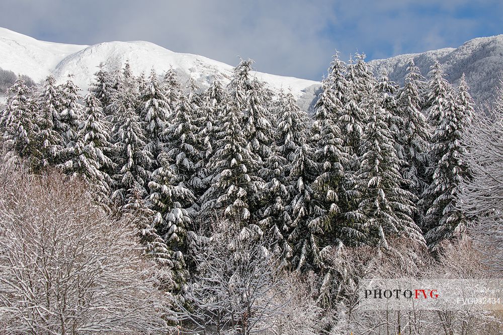 A Christmas card along the shore of lake of Campotosto, Gran Sasso and monti della Laga national park, Abruzzo, Italy