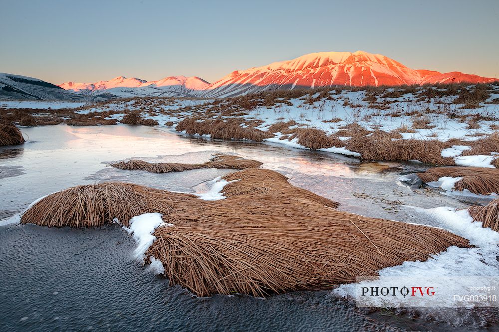 View of the Pian Grande of Castelluccio di Norcia, in the background the Vettore mountain at dawn, Sibillini National Park, Umbria, Italy, Europe