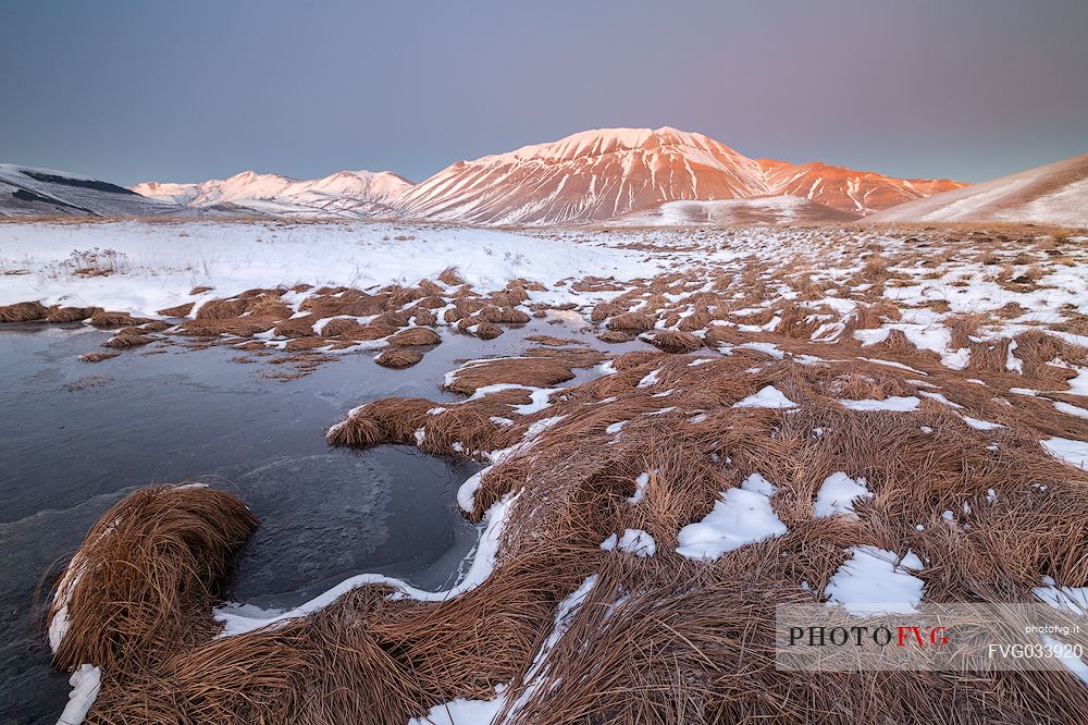 View of the Pian Grande of Castelluccio di Norcia, in the background the Vettore mountain at dawn, Sibillini National Park, Umbria, Italy, Europe