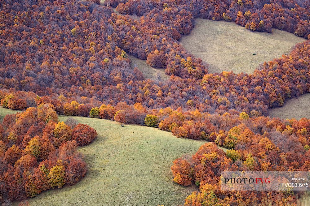 Colored woods along the slopes of the Pian Grande of Castelluccio di Norcia, Sibillini National Park, Umbria, Italy, Europe